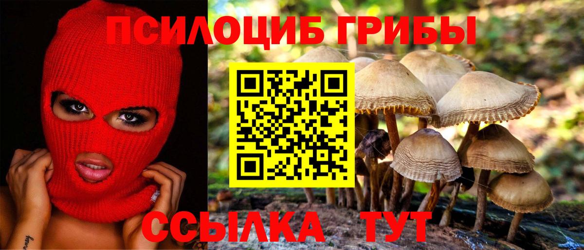 Галлюциногенные грибы Psilocybine cubensis Крымск