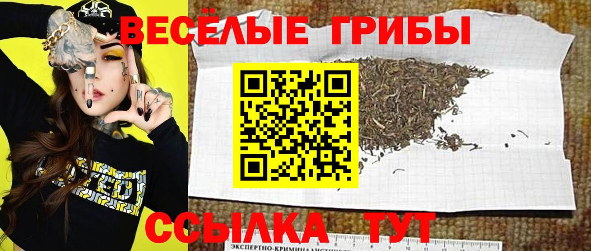 Псилоцибиновые грибы Psilocybine cubensis  Вход с VPN  Крымск 